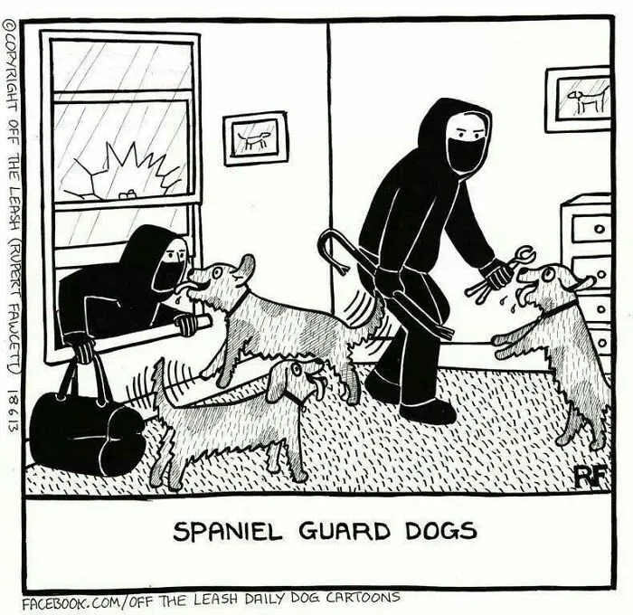 Off The Leash comics showing dogs as guard dogs for a home invasion.