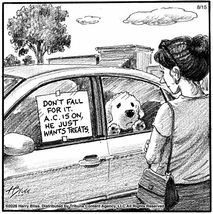 33 Humorous One-Panel Dog Comics By The New Yorker Magazine Cartoonist Harry Bliss (New Comics)