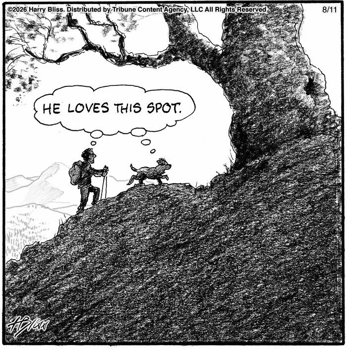 33 Humorous One-Panel Dog Comics By The New Yorker Magazine Cartoonist Harry Bliss (New Comics)