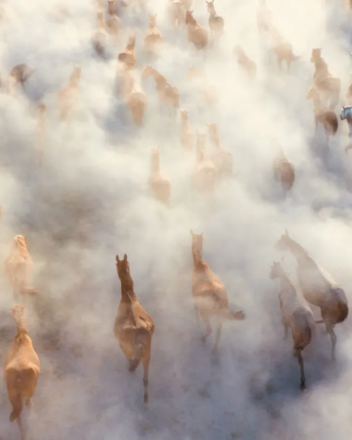 This Photographer Captures People, Animals, And Places In Stunning Light And Unique Angles (49 Pics)