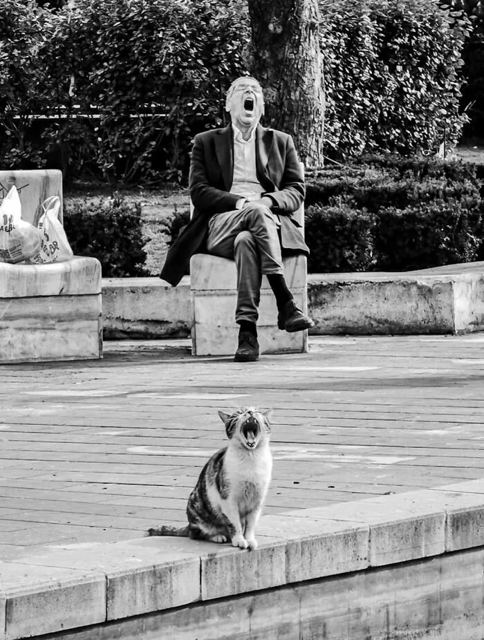 33 Hilarious Examples Of Perfect Timing Creating Unexpected And Chaotic Photos, As Shared By This Page