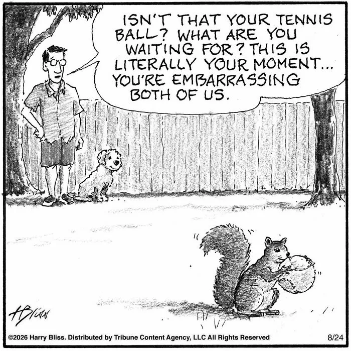 33 Humorous One-Panel Dog Comics By The New Yorker Magazine Cartoonist Harry Bliss (New Comics)