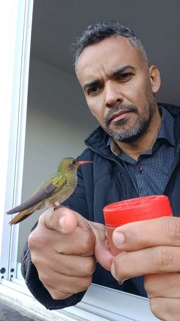 This Man Created A Little “Bird Canteen” By His Window, And 21 Photos Show Who Stopped By