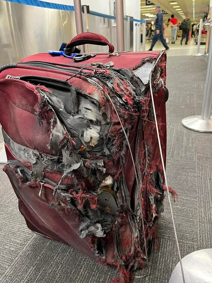 36 Entitled Travelers Who Expected Strangers To Fix Problems They Created Themselves