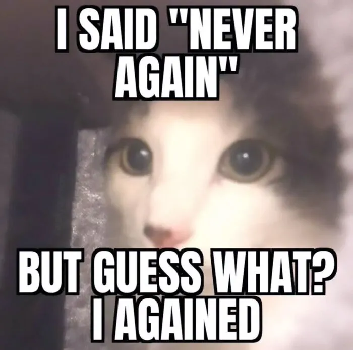 A close-up of a surprised cat with wide eyes, featuring a funny Cat meme about regretting a past action.