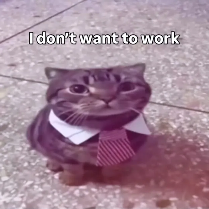 A fluffy Cat meme featuring a cat wearing a tie, humorously stating, I dont want to work.