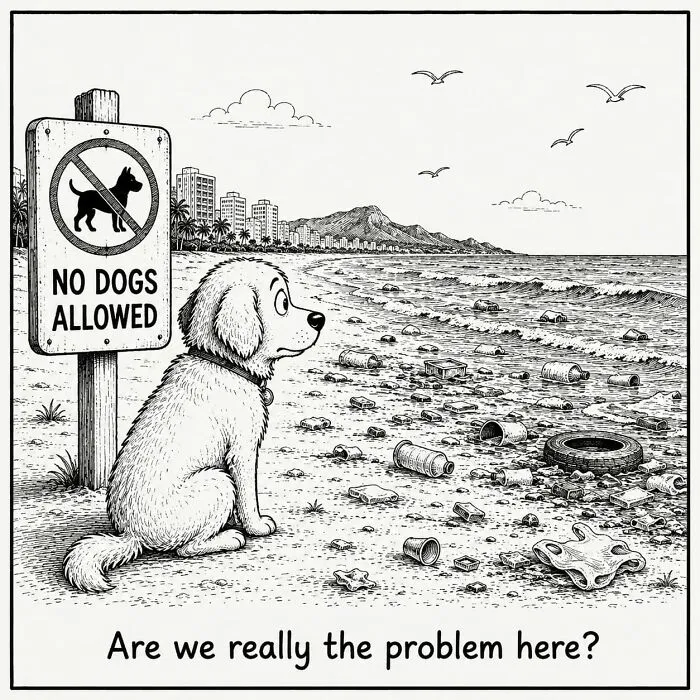 I Created 22 New Comics That Capture The Joy, Confusion, And Drama Of Being A Dog