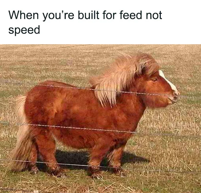 71 Funny Memes For Anyone Fluent In Sarcasm
