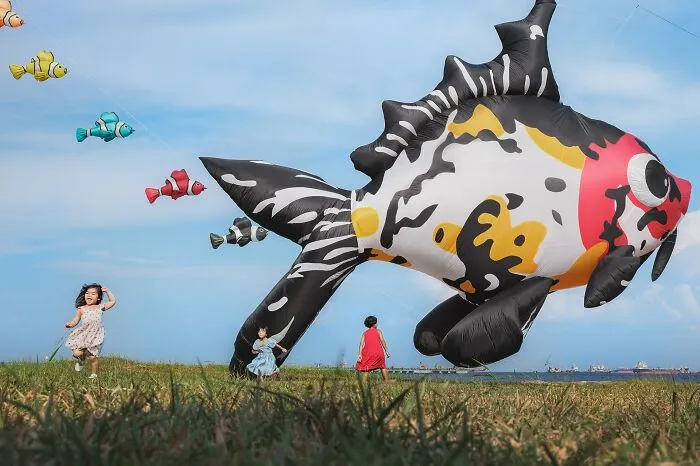 Honorable Mention: Playing With Fish  By Kantaya New
