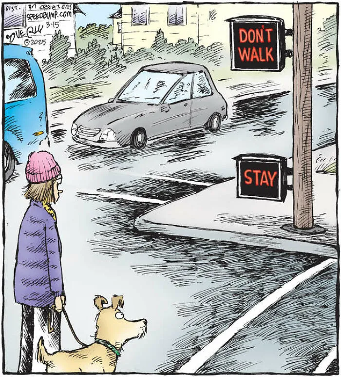 25 Hilarious Dog Comics By The Artist Behind ‘Speed Bump’
