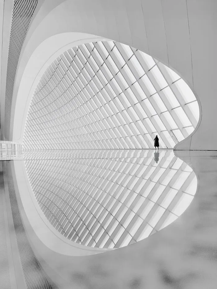 The Void By Nina Papiorek