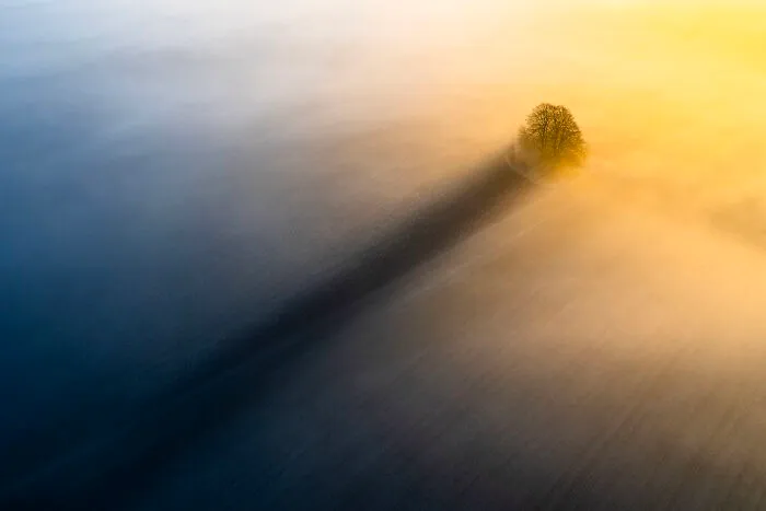 The Long Shadow By Christopher Harrison