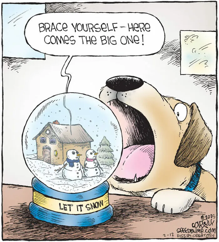 25 Hilarious Dog Comics By The Artist Behind ‘Speed Bump’