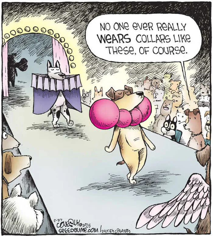 25 Hilarious Dog Comics By The Artist Behind ‘Speed Bump’