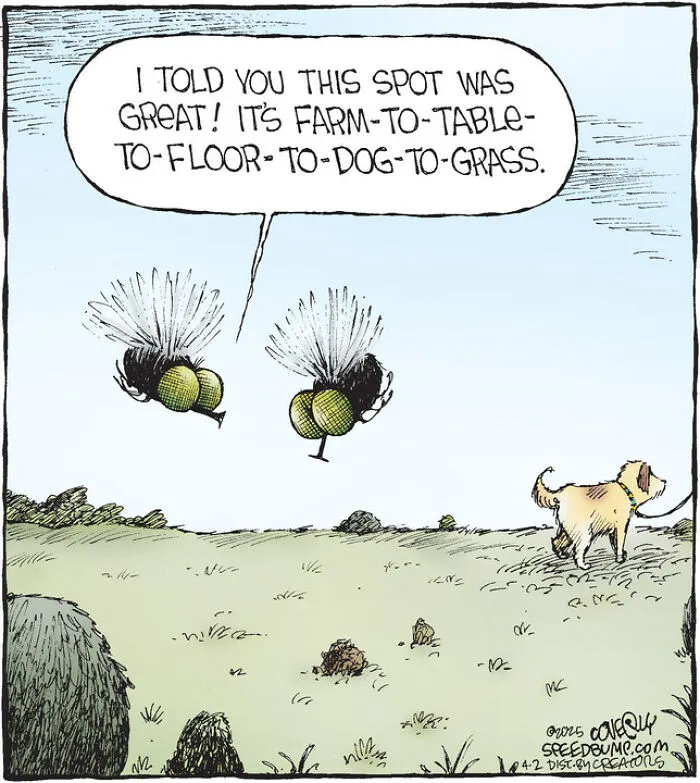 25 Hilarious Dog Comics By The Artist Behind ‘Speed Bump’