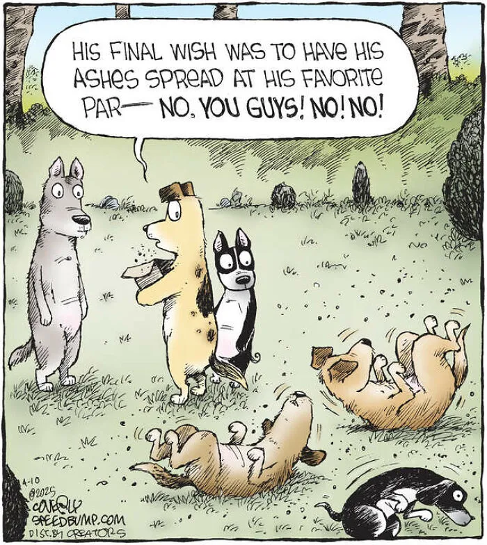25 Hilarious Dog Comics By The Artist Behind ‘Speed Bump’