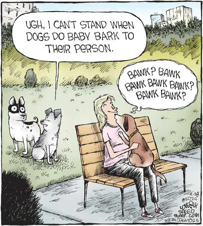 25 Hilarious Dog Comics By The Artist Behind ‘Speed Bump’