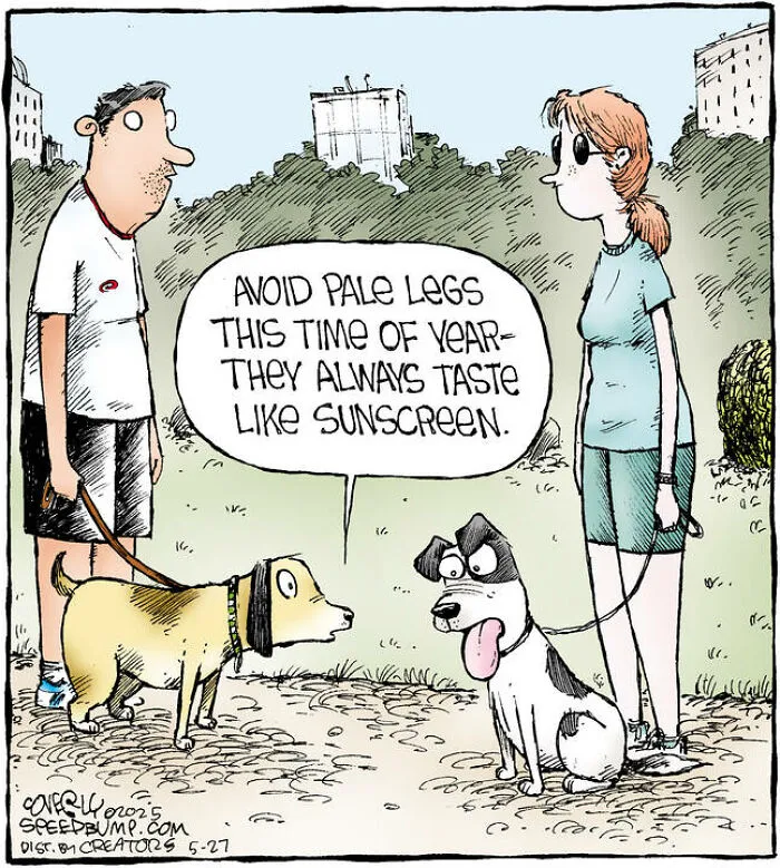 25 Hilarious Dog Comics By The Artist Behind ‘Speed Bump’