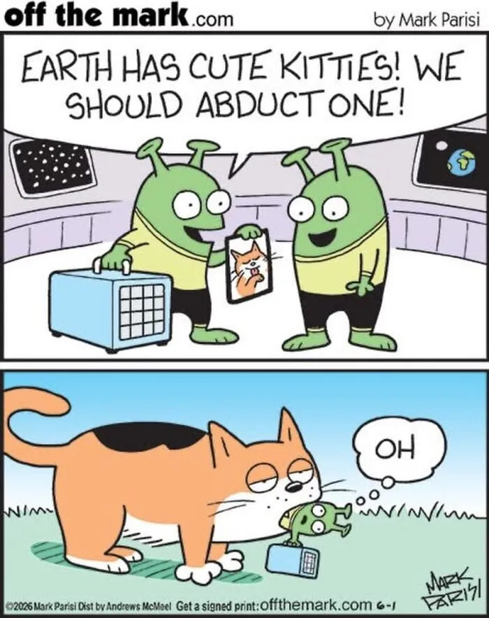 36 New Comics That Capture The Odd Little Habits Every Cat Owner Knows