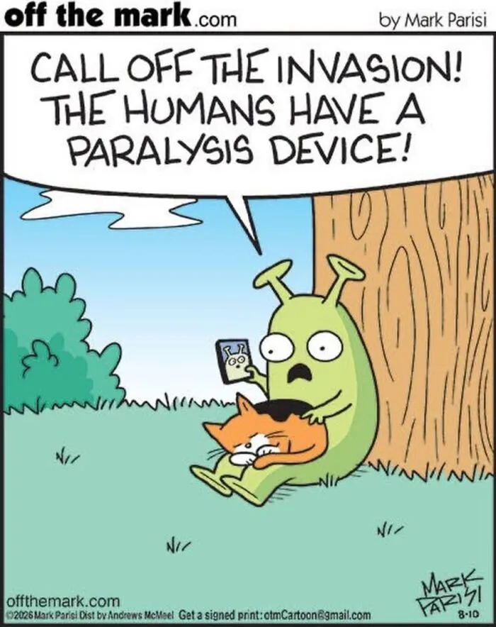 36 New Comics That Capture The Odd Little Habits Every Cat Owner Knows