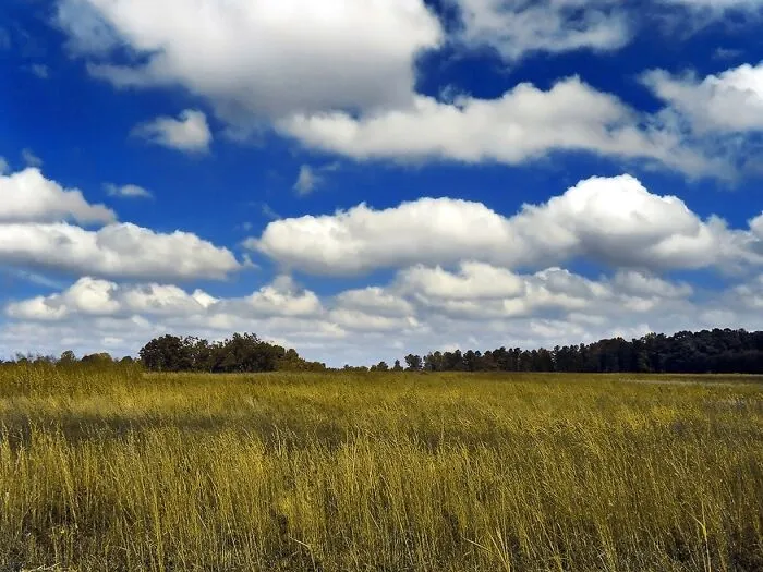 65 Facts That Are So Fun That They Sound Unbelievable But They’re Absolutely True