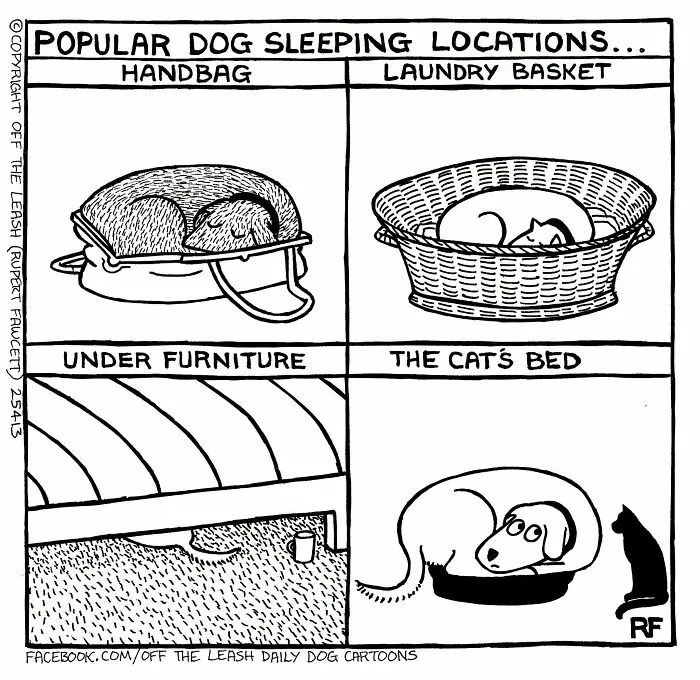 If You’re A Dog Owner, These 25 New “Off The Leash” Cartoons Might Totally Hit Home