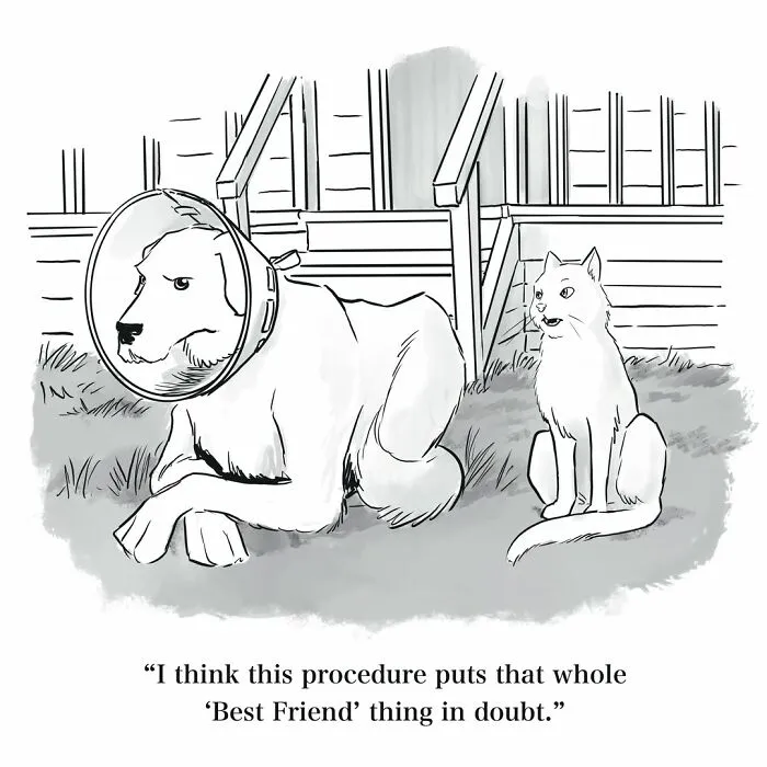 Everyday Situations Get Delightfully Weird In These Artists’ 75 New Single-Panel Comics