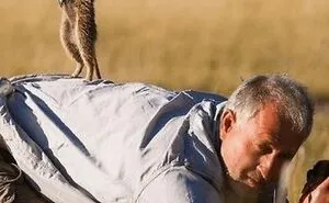 33 Hilarious Examples Of Perfect Timing Creating Unexpected And Chaotic Photos, As Shared By This Page