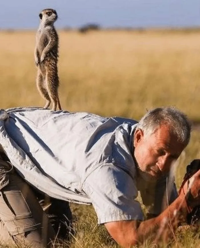 33 Hilarious Examples Of Perfect Timing Creating Unexpected And Chaotic Photos, As Shared By This Page