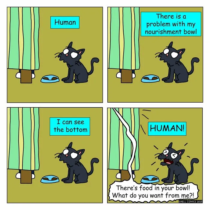 35 Funny “Shell Comics” That Find The Absurd Side Of Everyday Life