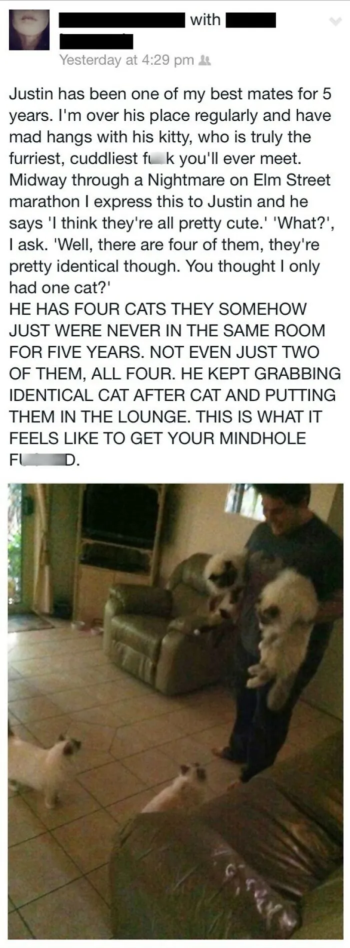 Tumblr Post About A Guy With 5(?) Similar Looking Cats & His Friend Thinking They Were All One Very Fast Cat Due To The Cats Never Being In The Same Room Once Throughout The Years