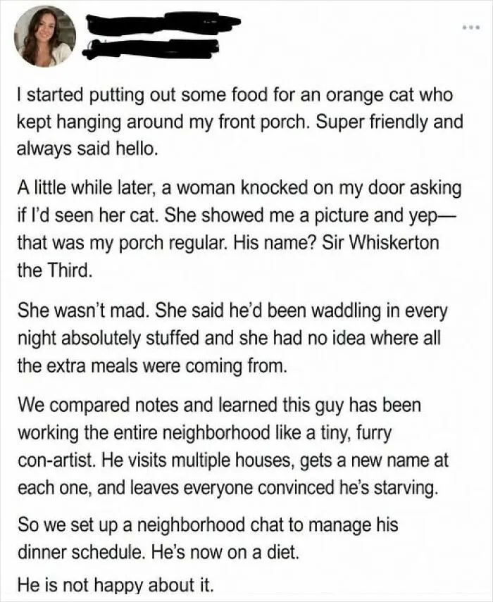 🐈