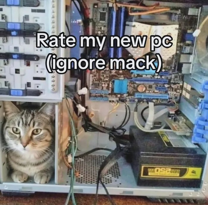 Cat memes: A tabby cat peeks out from inside a computer tower, next to various PC components.