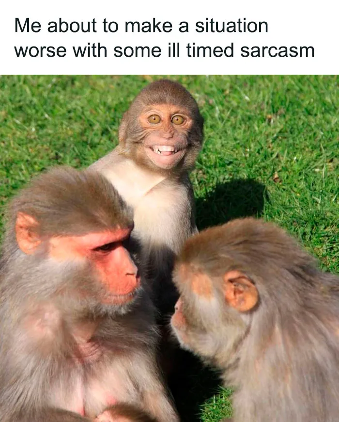 71 Funny Memes For Anyone Fluent In Sarcasm