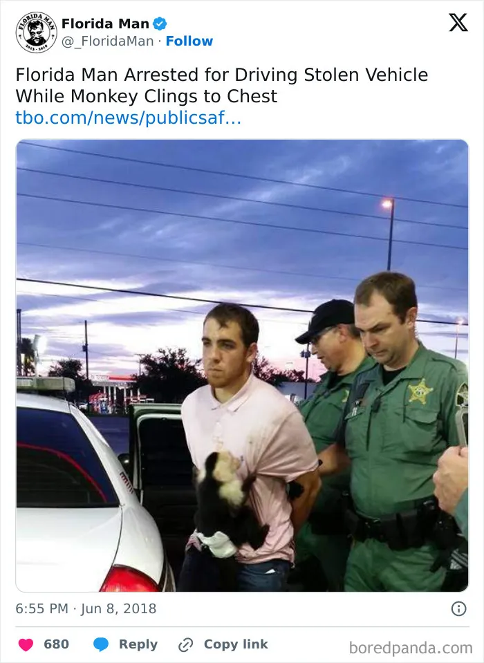 56 Florida Pics That Make Common Sense Feel Optional