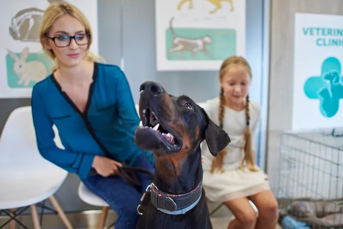 95 People Who Fired Their Therapists Explain What Finally Made Them Do It