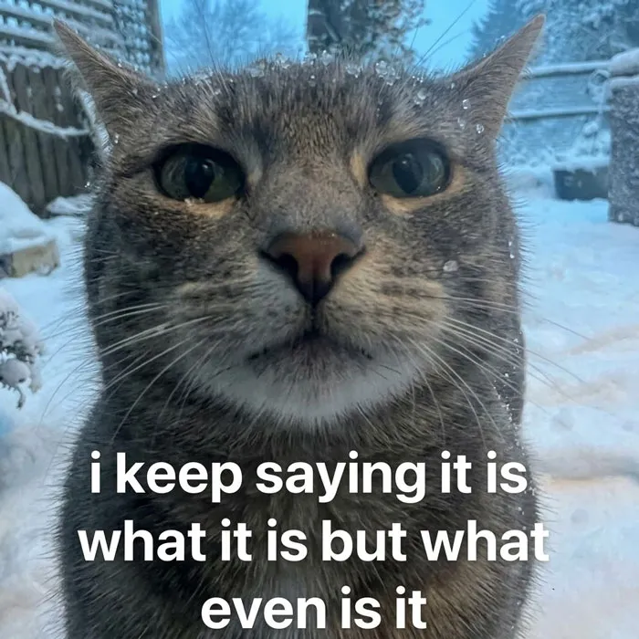 85 Funny Memes For When Your Mental Battery Is At 1% (New Pics)