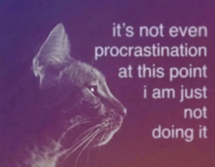 A relatable cat meme with a cat in profile against a purple background, with text about procrastination.