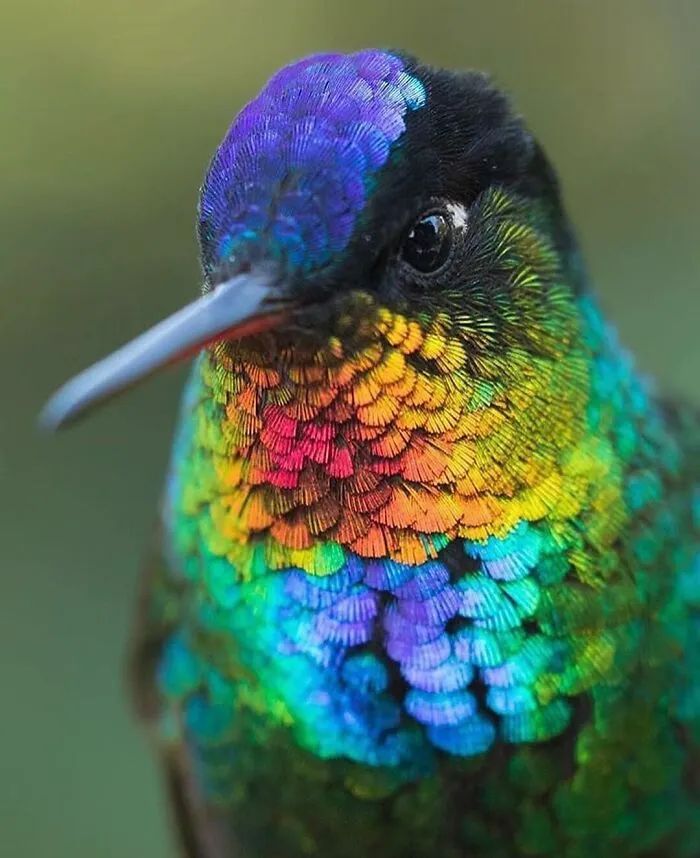 106 Times Nature Decided To Show Off And People Were Lucky Enough To Capture It