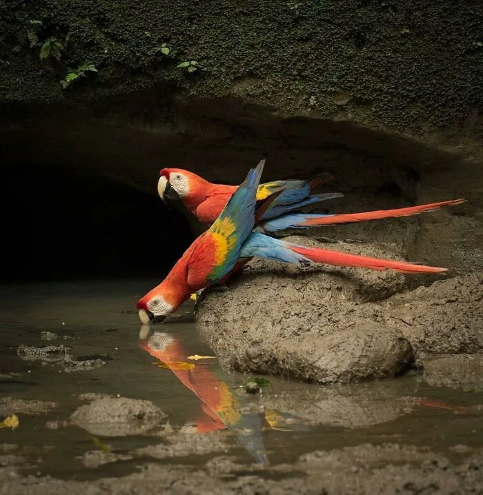106 Times Nature Decided To Show Off And People Were Lucky Enough To Capture It