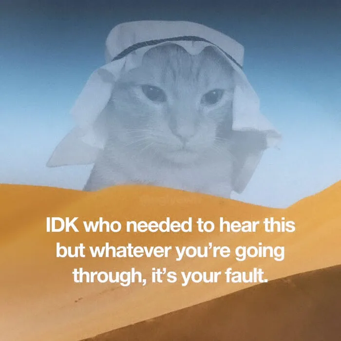 A funny cat meme featuring a cat in a traditional Arab head covering against a desert background with text.