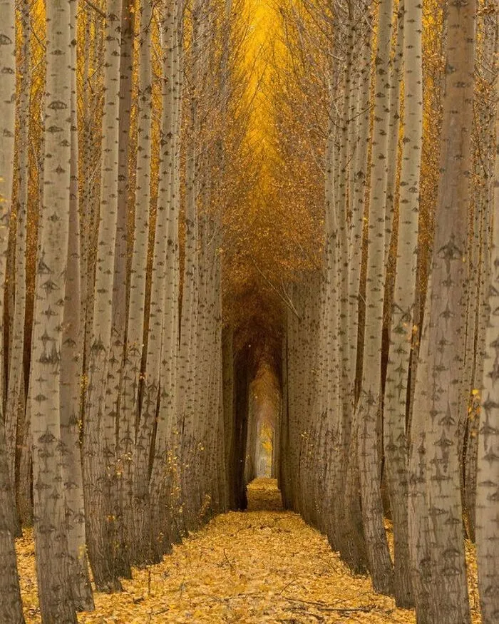 106 Times Nature Decided To Show Off And People Were Lucky Enough To Capture It