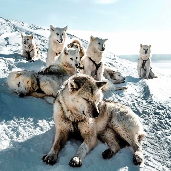106 Times Nature Decided To Show Off And People Were Lucky Enough To Capture It