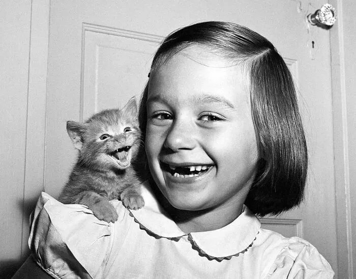 29 Historic Photos Shared By This Page Where Animals Unexpectedly Became The Stars Of The Shot