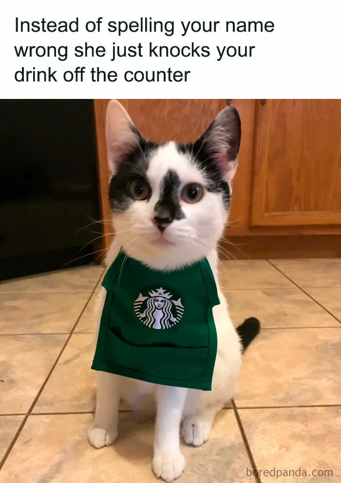 78 Memes For Anyone Who Stops Scrolling The Second An Animal Shows Up