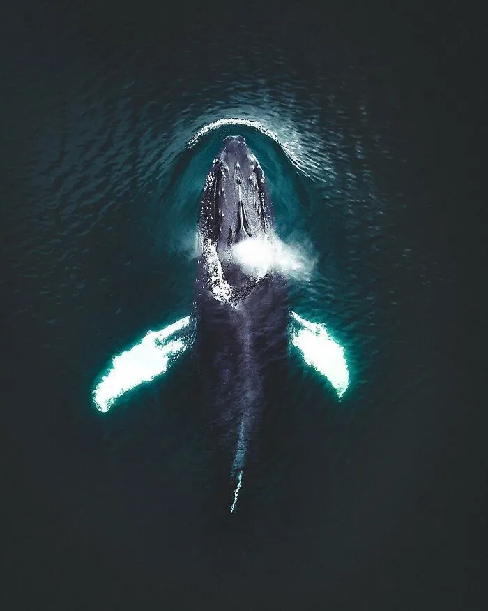 106 Times Nature Decided To Show Off And People Were Lucky Enough To Capture It