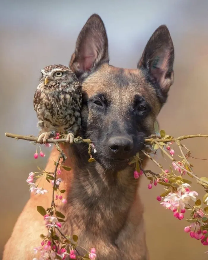 106 Times Nature Decided To Show Off And People Were Lucky Enough To Capture It