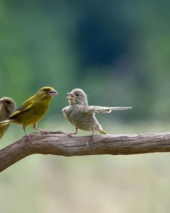 106 Times Nature Decided To Show Off And People Were Lucky Enough To Capture It