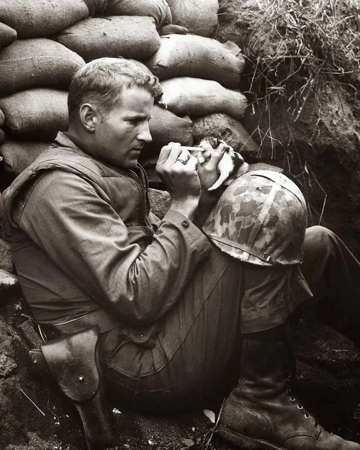 29 Historic Photos Shared By This Page Where Animals Unexpectedly Became The Stars Of The Shot