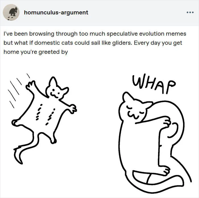 Gliding Kitties
